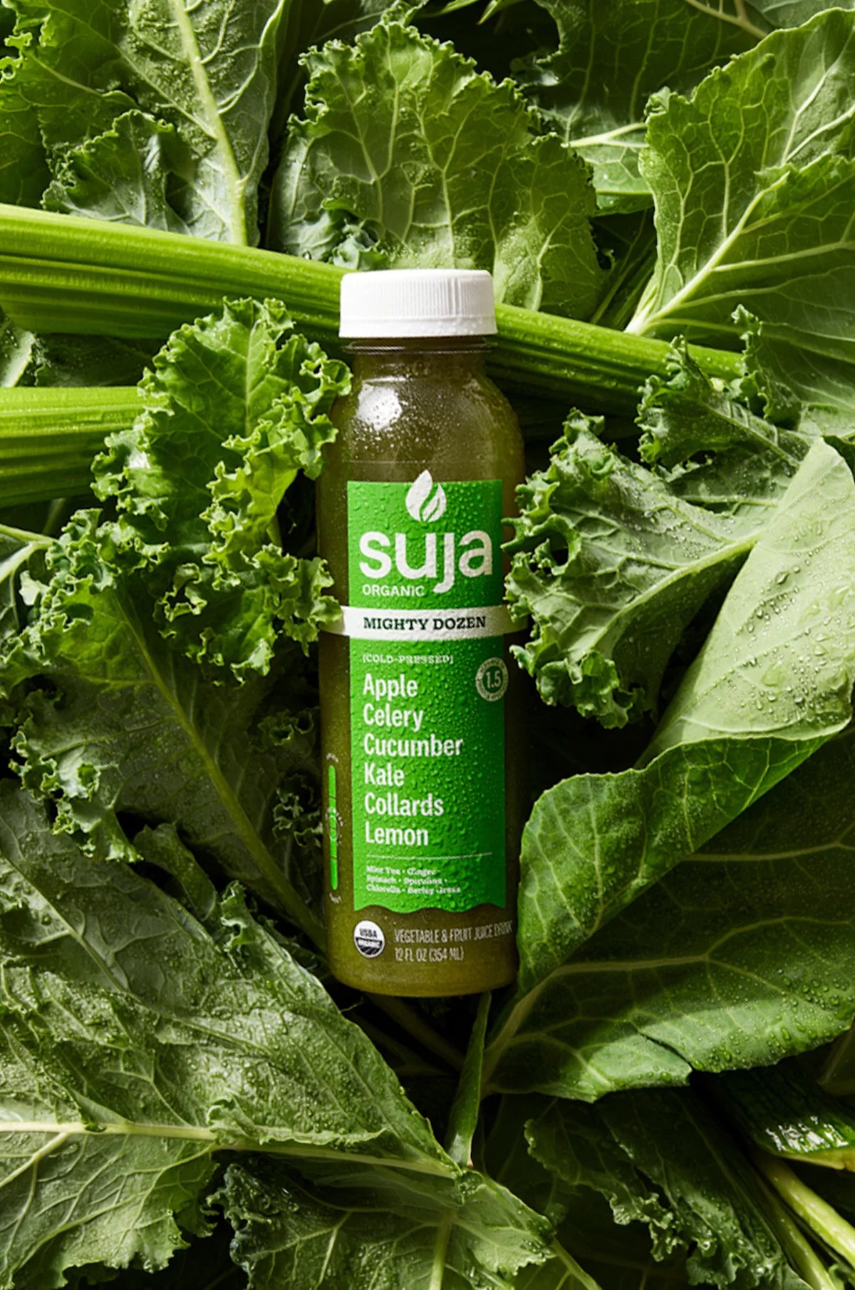 Suja Life Sees 66% EBITDA Growth as Functional Beverage Boom Accelerates