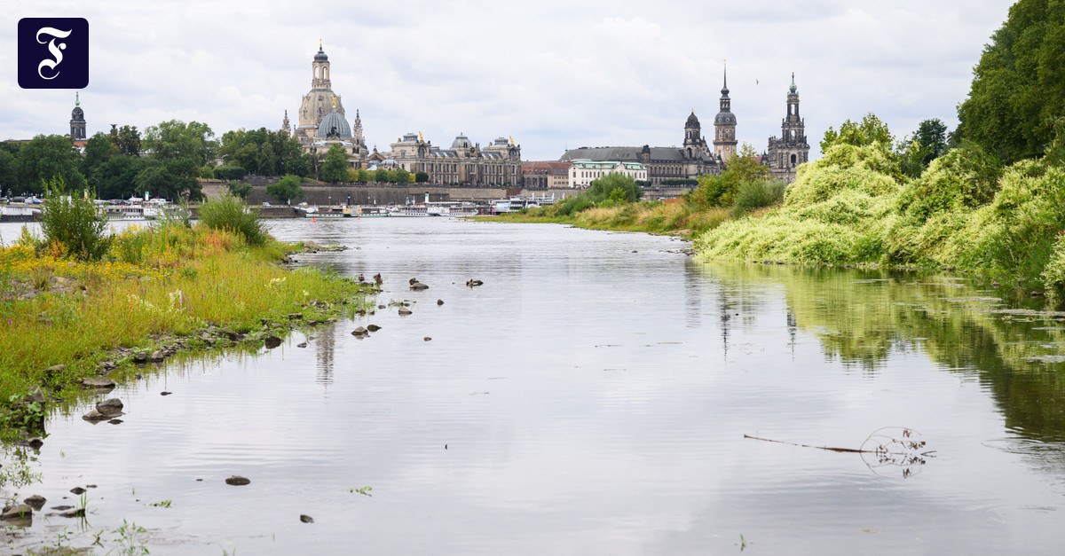 Neues Flusskraftwerk in Dresden: „Das merkt nicht mal ein Frosch“