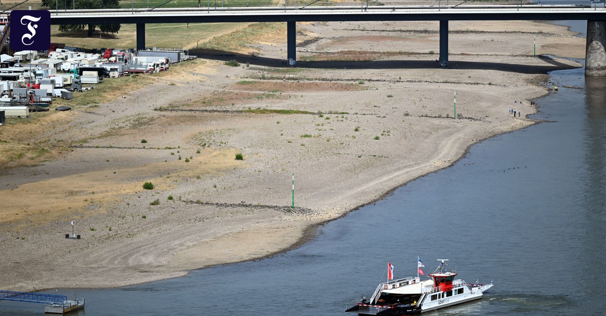 Niedrigwasser in Flüssen: Mehr Tiefgang für den Rhein