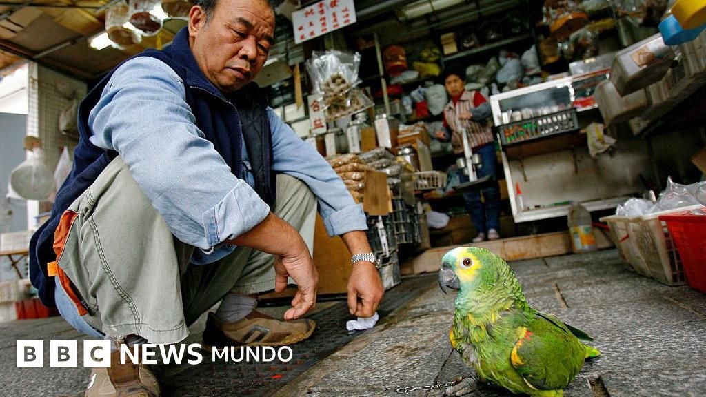 Por qué dominar la "sentadilla asiática" es clave para nuestra salud