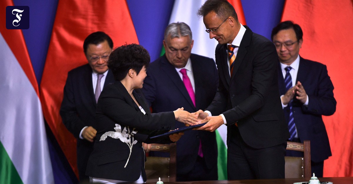 Fabrik in Ungarn: Orbáns früherer Außenminister wechselt zu BYD