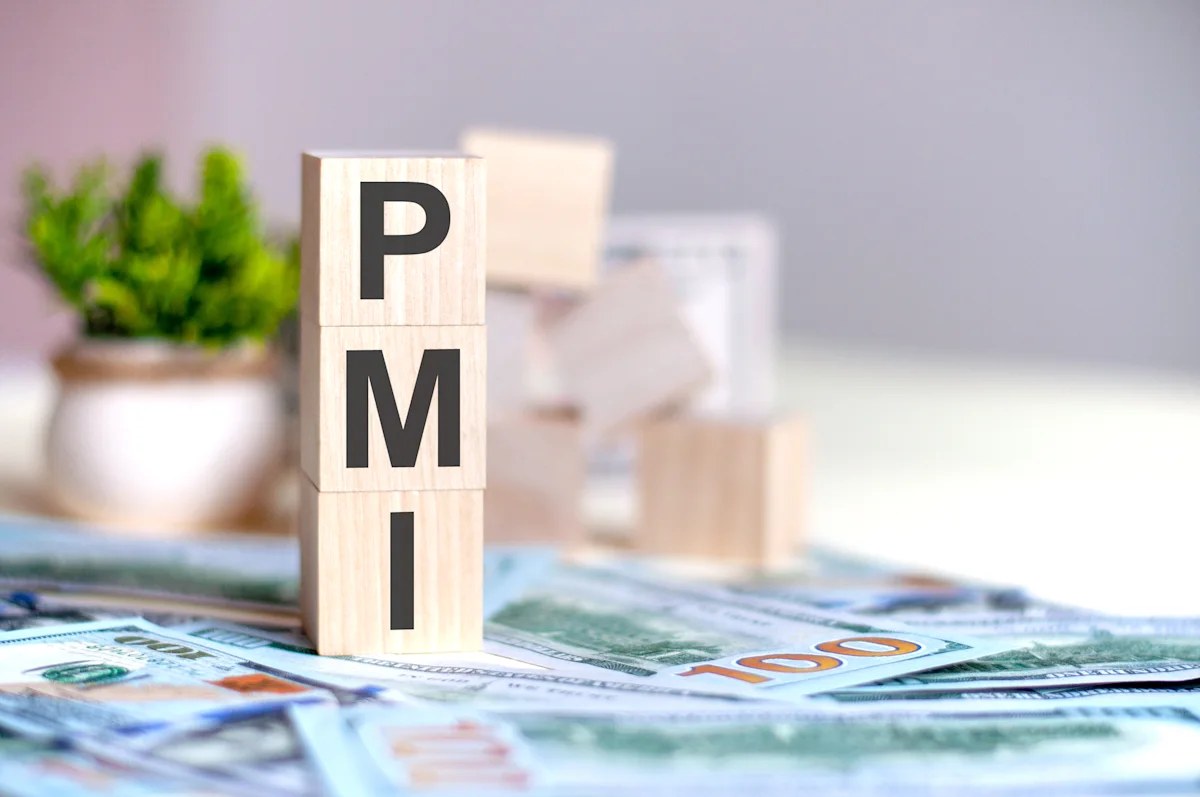 What is private mortgage insurance (PMI)? Definition, cost, and how to avoid it