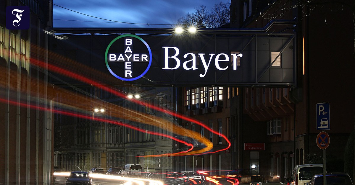 Gemeinschaftsunternehmen: Bayer holt sich Finanzspritze von Apollo